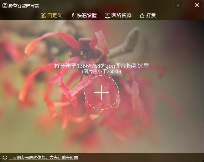 野兔谷登陆背景下载,Windows美化工具,Windows美化